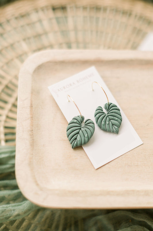 Monstera Dangle