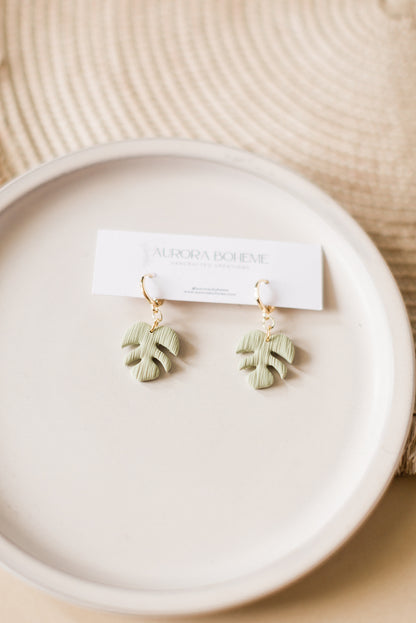 Monstera Dangle